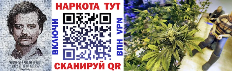 Конопля Гуково