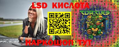 амф Донской