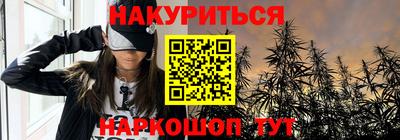 шишки Бийск