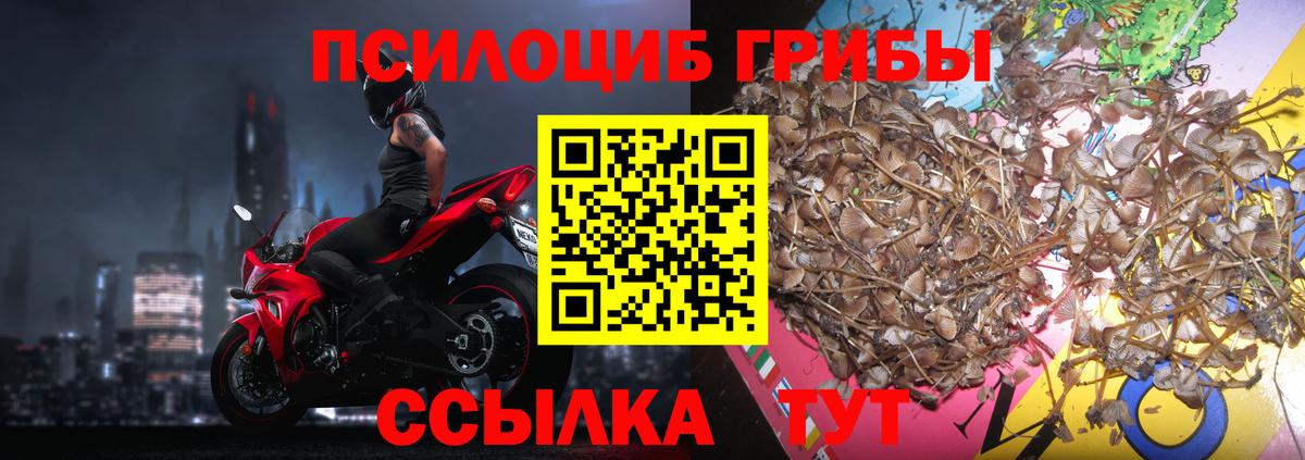 Галлюциногенные грибы Magic Shrooms Гуково