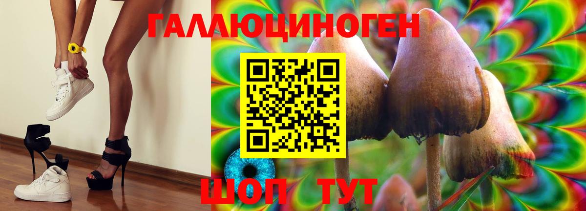 Гуково  Псилоцибиновые грибы Psilocybine cubensis  Вход с VPN 
