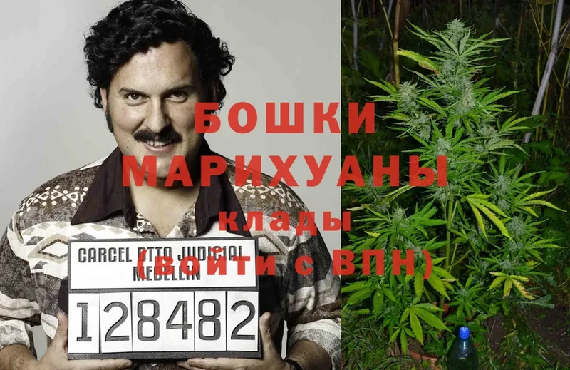 Бошки Шишки OG Kush  что такое   Гуково 